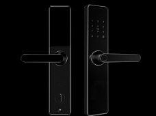 青松沃德-Wi-Fi 指紋鎖家用防盜門智能門鎖密碼鎖刷卡電子鎖 防磁干擾 防撬 L9-WT (不含鎖體，鎖體需另購）